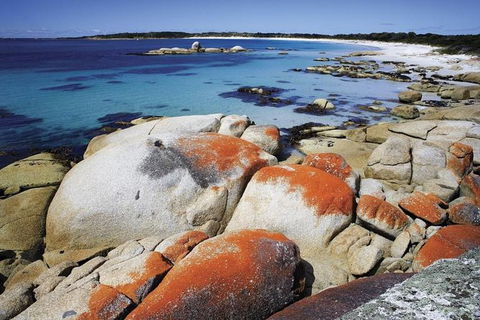 Highlights Of Tasmania 5-Day Small-Group Tour From Hobart - Accommodation ACT 1