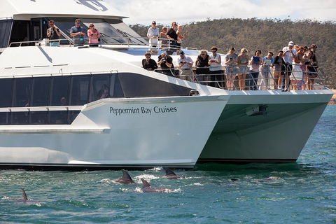 The Peppermint Bay Lunch Cruise From Hobart - Accommodation ACT 0