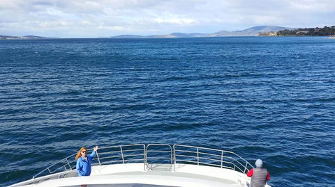 The Peppermint Bay Lunch Cruise From Hobart - Accommodation ACT 2