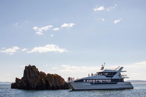 The Peppermint Bay Lunch Cruise From Hobart - Accommodation ACT 1
