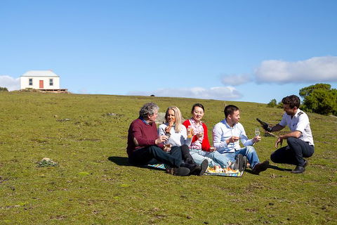 Wineglass Bay And Maria Island Wildlife Scenic Flight From Hobart - Accommodation ACT 6