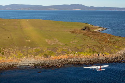 Wineglass Bay And Maria Island Wildlife Scenic Flight From Hobart - Accommodation ACT 10