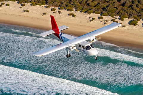 Wineglass Bay And Maria Island Wildlife Scenic Flight From Hobart - Accommodation ACT 11