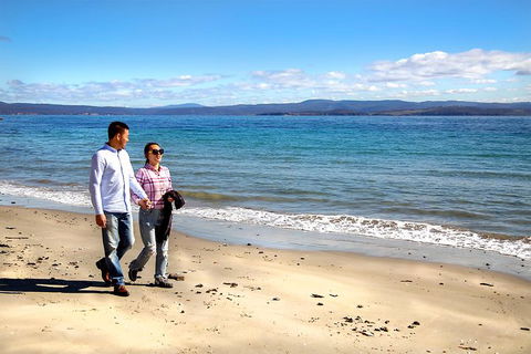 Wineglass Bay And Maria Island Wildlife Scenic Flight From Hobart - Accommodation ACT 9