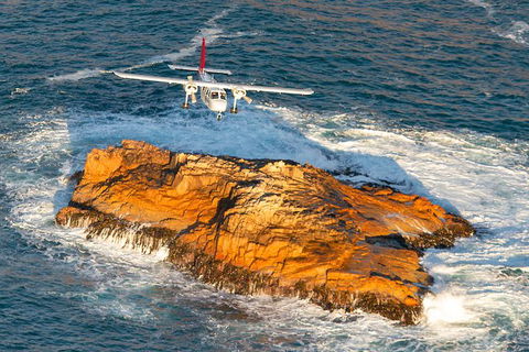 Wineglass Bay And Maria Island Wildlife Scenic Flight From Hobart - Accommodation ACT 7