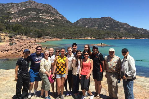 Active Day Tour One-Way From Hobart To Launceston With Wineglass Bay - Accommodation ACT 10