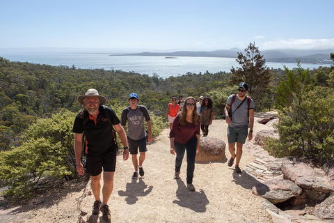 Active Day Tour One-Way From Hobart To Launceston With Wineglass Bay - Accommodation ACT 3