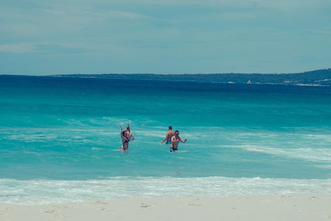 Full-Day Tour To Wineglass Bay From Hobart - Accommodation ACT 5