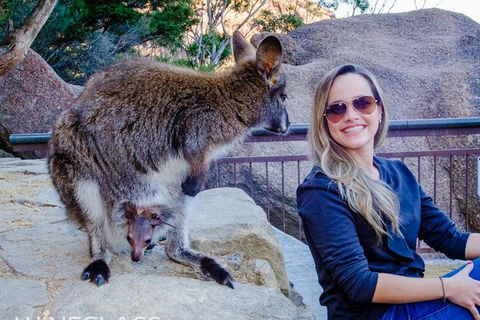 Full-Day Tour To Wineglass Bay From Hobart - Accommodation ACT 9