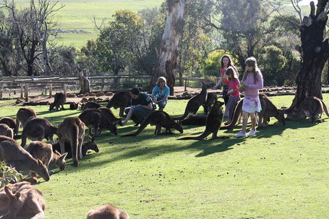 The Port Arthur MEGA Day Trip From Hobart - Accommodation ACT 5