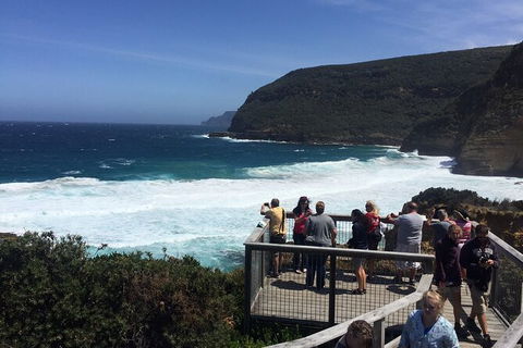 The Port Arthur MEGA Day Trip From Hobart - Accommodation ACT 4
