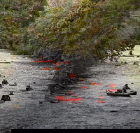 Meander Wilderness Experiences - Accommodation ACT