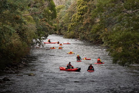 Meander Wilderness Experiences - Accommodation ACT 2