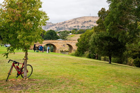 Small-Group Tour From Hobart: Mt Wellington, Bonorong Wildlife Park And Richmond - Accommodation ACT 14