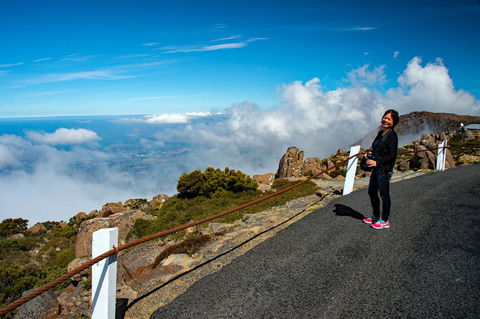 Small-Group Tour From Hobart: Mt Wellington, Bonorong Wildlife Park And Richmond - Accommodation ACT 12