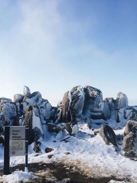 Small-Group Tour From Hobart: Mt Wellington, Bonorong Wildlife Park And Richmond - Accommodation ACT 3