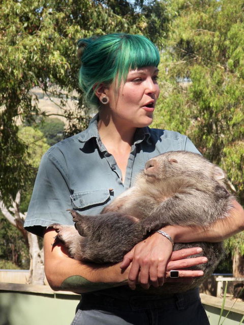 Small-Group Tour From Hobart: Mt Wellington, Bonorong Wildlife Park And Richmond - Accommodation ACT 8