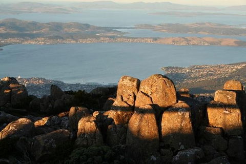 Small-Group Tour From Hobart: Mt Wellington, Bonorong Wildlife Park And Richmond - Accommodation ACT 1