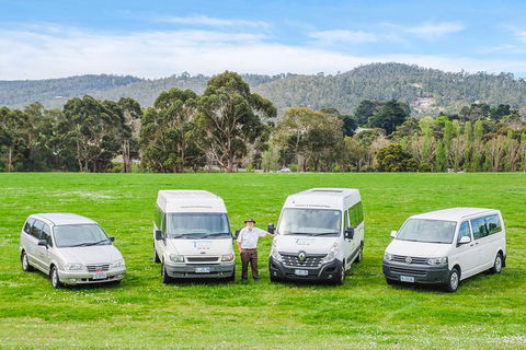 Small-Group Tour From Hobart: Mt Wellington, Bonorong Wildlife Park And Richmond - Accommodation ACT 21