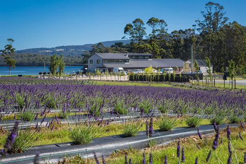 Private Tasman Peninsula Cruise Ship Tour From Port Arthur - Accommodation ACT 0