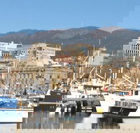 Private Mt Wellington Richmond Bonorong Wildlife Sanctuary Tour from Hobart - Accommodation ACT