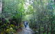 Hobart Hop-On Hop-Off Bus & Kunanyi/Mt Wellington Tour - thumb 4