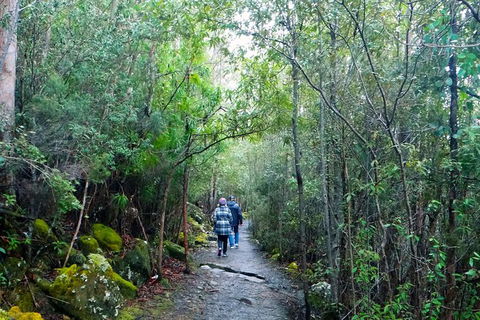 Hobart Hop-On Hop-Off Bus & Kunanyi/Mt Wellington Tour - Accommodation ACT 4