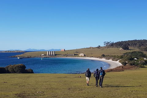 6-Day Best Of Tasmania Hiking Tour From Hobart - Accommodation ACT 1