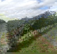 Coal River Valley  Hobart food  wine grazing tour - Accommodation ACT