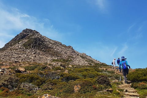 Hartz Peak Hiking Tour - Hartz Mountains National Park - Accommodation ACT 0