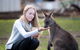 Guided Shore Excursion Hobart: City Highlights Bonorong Wildlife & Richmond - thumb 0
