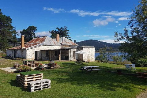 Hobart Small Group Wine Tour Saturday Afternoon: Wines, Gins & Cheeses - Accommodation ACT 5