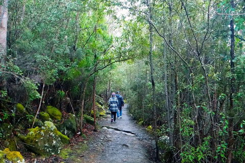 Kunanyi/Mt Wellington Tour & Hobart Hop-On Hop-Off Bus - Accommodation ACT 5