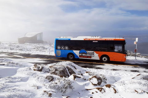 Kunanyi/Mt Wellington Tour & Hobart Hop-On Hop-Off Bus - Accommodation ACT 4