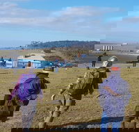 4-Day Hobart Adventure Tour Maria Island Cape Raoul Mount Field Cape Hauy - Accommodation ACT
