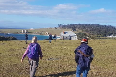 4-Day: Hobart Adventure Tour: Maria Island, Cape Raoul, Mount Field, Cape Hauy - Accommodation ACT 0