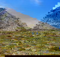 3-Day Hobart Adventure Tour Mount Field Cape Hauy and Hartz Peak - Accommodation ACT