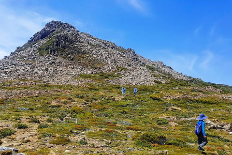3-Day: Hobart Adventure Tour: Mount Field, Cape Hauy And Hartz Peak - Accommodation ACT 0