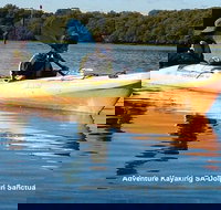 Adelaide Dolphin Sanctuary and Ships Graveyard Kayak Tour - Accommodation ACT