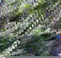 Self-Guided Waterfall Gully to Mount Lofty Hike from Adelaide - Accommodation ACT