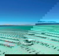 Coffin Bay Day Tour - A Taste of Coffin Bay - Accommodation ACT