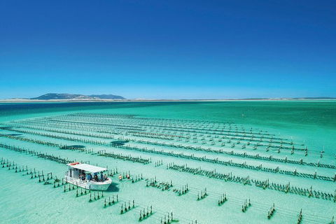 Coffin Bay Day Tour - A Taste Of Coffin Bay - Accommodation ACT 0