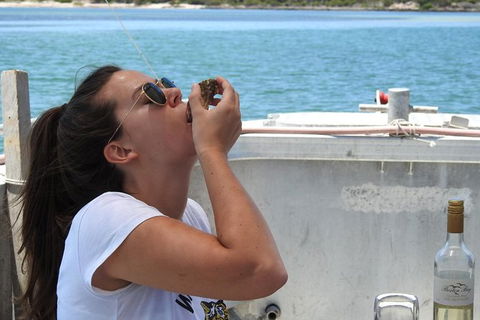 Coffin Bay Day Tour - A Taste Of Coffin Bay - Accommodation ACT 15