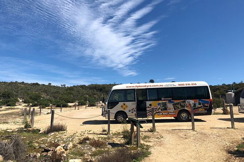 Coffin Bay Day Tour - A Taste Of Coffin Bay - Accommodation ACT 4