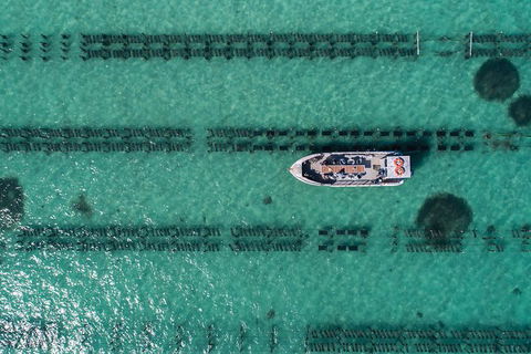 Experience Coffin Bay Short And Sweet Oyster Farm Tour - Accommodation ACT 1