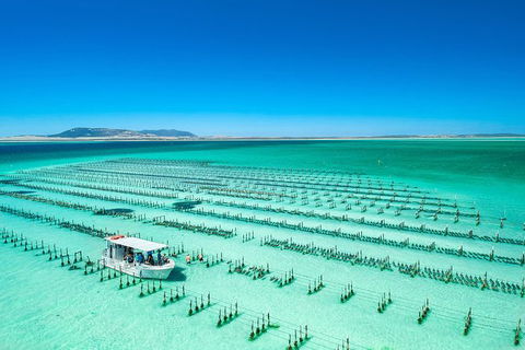 Experience Coffin Bay Short And Sweet Oyster Farm Tour - Accommodation ACT 5