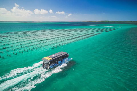 Experience Coffin Bay Short And Sweet Oyster Farm Tour - Accommodation ACT 2