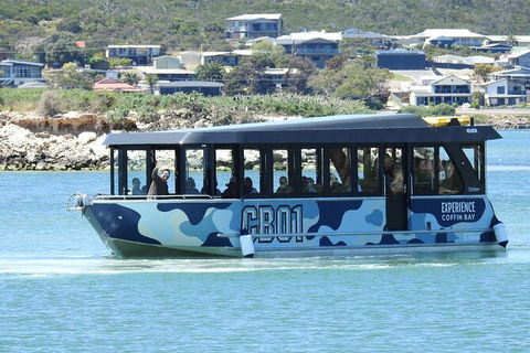 Experience Coffin Bay Short And Sweet Oyster Farm Tour - Accommodation ACT 9