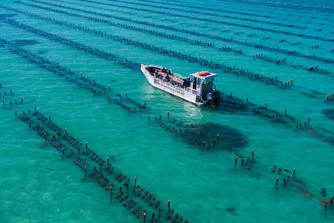 Experience Coffin Bay Short And Sweet Oyster Farm Tour - Accommodation ACT 7