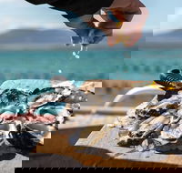 Experience Coffin Bay Oyster Farm and Bay Tour - Accommodation ACT